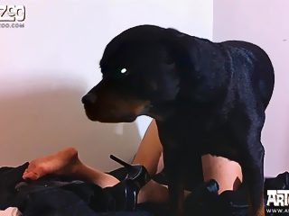 One girl one dog xxx video