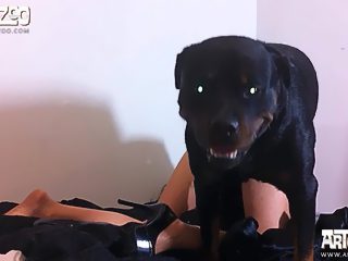 One girl one dog xxx video