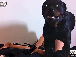 One girl one dog xxx video