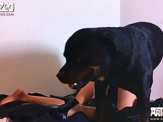 One girl one dog xxx video