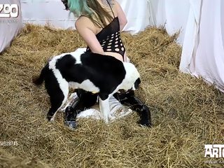 Dog sex woman