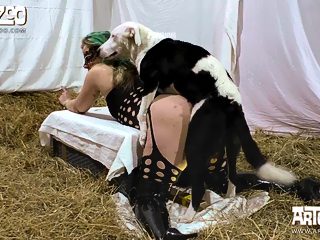 Dog sex woman