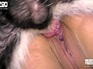 Dog sex woman