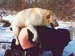 Dog porn outdoor