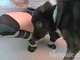 Dog fucks teen