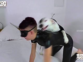 Dog fucks teen porn