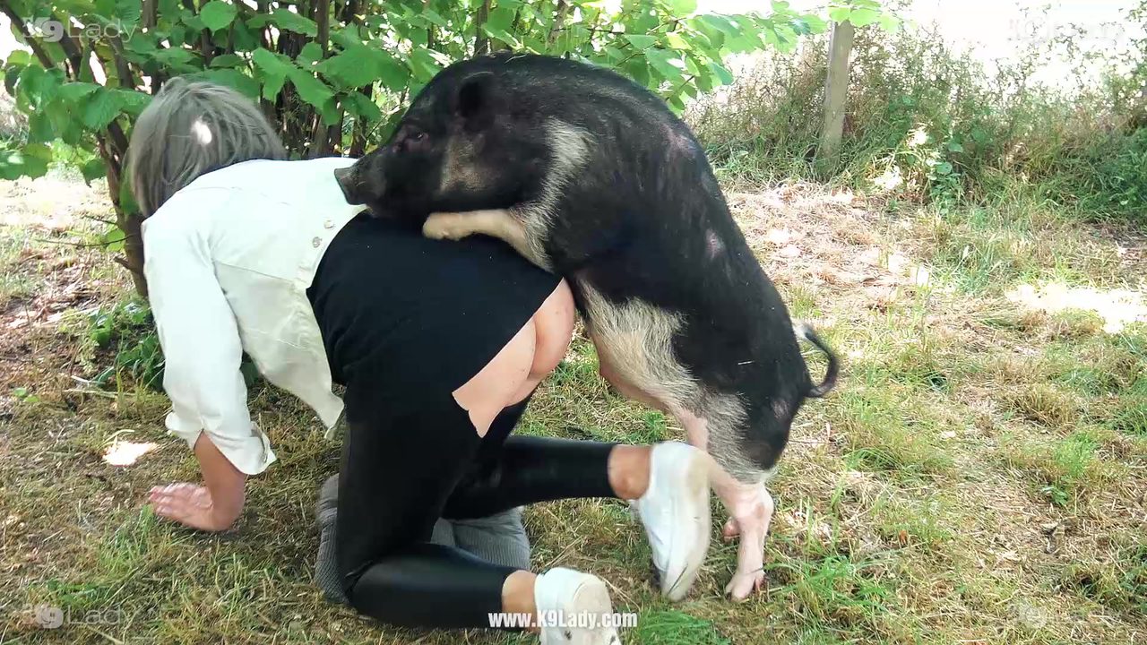 young wife fucked pig